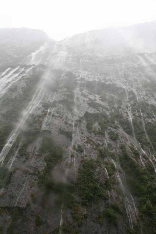 Nieuw-Zeeland 2011 - 1709